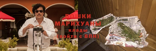 индика Вязники