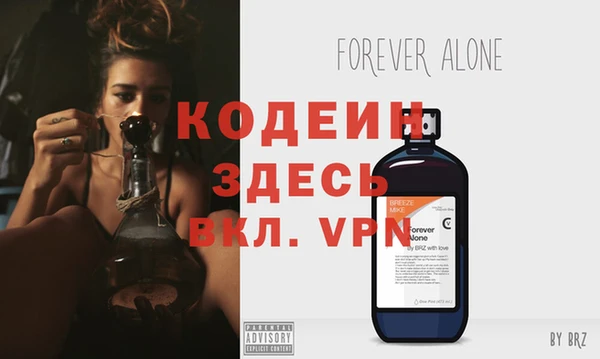 индика Вязники