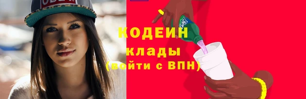 индика Вязники