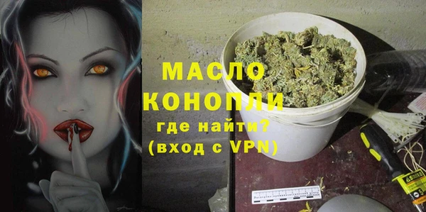 индика Вязники