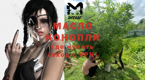 индика Вязники