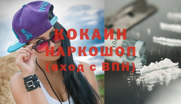 круглые Тайга