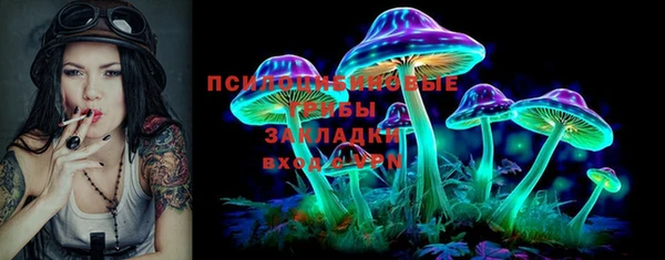 бошки Тавда