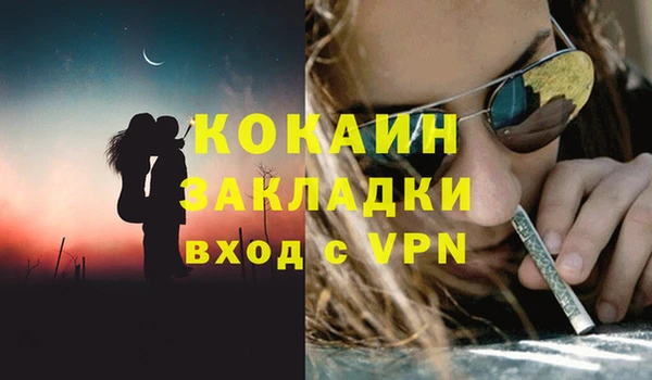 круглые Тайга
