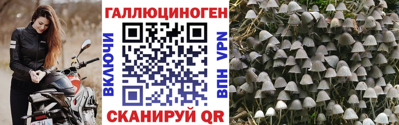 закладка  Калининск  Псилоцибиновые грибы ЛСД 